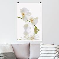 Klebefieber Poster White Orchid Waters