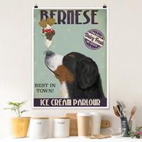 Bilderwelten Poster Tiere - Hochformat Berner Sennenhund mit Eis