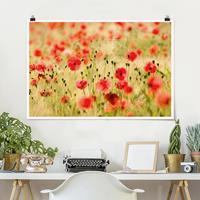 Klebefieber Poster Summer Poppies