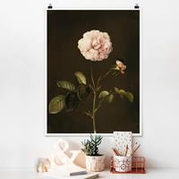 Klebefieber Poster Kunstdruck Barbara Regina Dietzsch - Essig-Rose mit Hummel