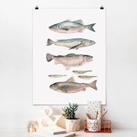 Bilderwelten Poster Küche - Hochformat Sieben Fische in Aquarell I