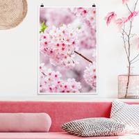 Klebefieber Poster Japanische Kirschblüten