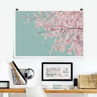 Klebefieber Poster Japanische Kirschblüte