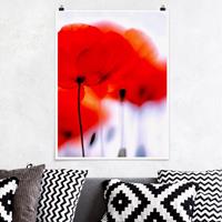 Klebefieber Poster Matt inkl. Posterklammern Magic Poppies