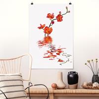 Klebefieber Poster Flamy Orchid Waters