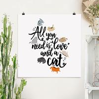 Bilderwelten Poster Tiere - Quadrat All you need is love and a cat