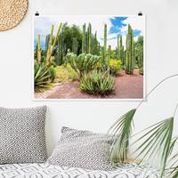 Klebefieber Poster Kakteen Landschaft