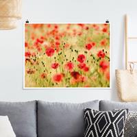 Klebefieber Poster Summer Poppies