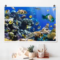 Klebefieber Poster Underwater Reef
