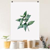 Klebefieber Poster Aquarell Eucalyptus III