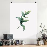 Klebefieber Poster Aquarell Eucalyptus II