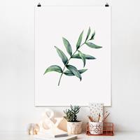 Klebefieber Poster Aquarell Eucalyptus I