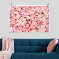 Klebefieber Poster Rosen Rosé Koralle Shabby