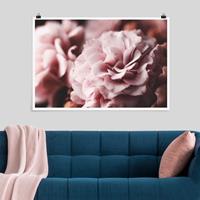 Klebefieber Poster Shabby Rosa Rose Pastell