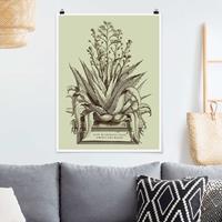 Klebefieber Poster Vintage Aloe Vera Americana Major