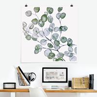 Klebefieber Poster Grünes Aquarell Eukalyptuszweig