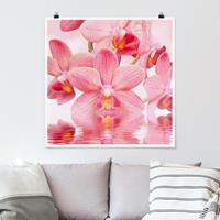 Klebefieber Poster Rosa Orchideen auf Wasser