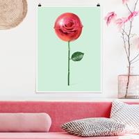 Klebefieber Poster Rose mit Lollipop