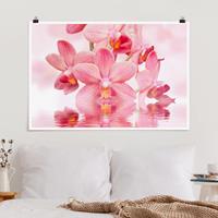 Klebefieber Poster Rosa Orchideen auf Wasser