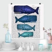 Bilderwelten Poster Tiere - Quadrat Tierlektüre - Walfamilie