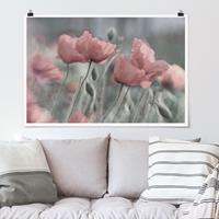 Klebefieber Poster Malerische Mohnblumen