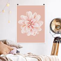 Klebefieber Poster Fotografie Dahlie Rosa Pastell Weiß Zentriert