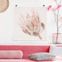 Klebefieber Poster Protea Königin der Blüten