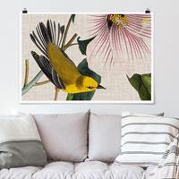 Bilderwelten Poster Kunstdruck - Querformat Vogel auf Leinen Gelb I