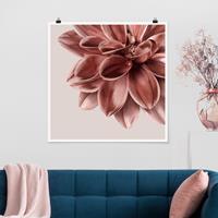 Klebefieber Poster Fotografie Dahlie Blume Rosegold Metallic Detail