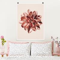 Klebefieber Poster Fotografie Dahlie Rosegold Metallic Rosa