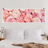 Klebefieber Poster Rosen Rosé Koralle Shabby