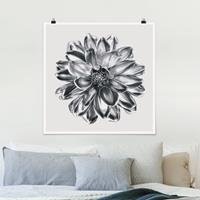 Klebefieber Poster Fotografie Dahlie Blume Silber Metallic