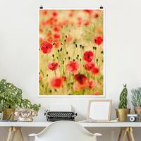 Klebefieber Poster Matt inkl. Posterklammern Summer Poppies