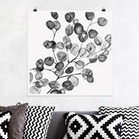 Klebefieber Poster Schwarz Weiß Aquarell Eukalyptuszweig