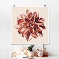 Klebefieber Poster Fotografie Dahlie Rosegold Rosa Zentriert