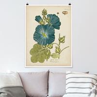 Klebefieber Poster Vintage Botanik in Blau Rosenpappel