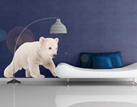 Klebefieber Wandtattoo Tiere No.655 Polar Bear Baby