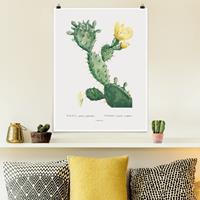 Klebefieber Poster Botanik Vintage Illustration Kaktus mit gelber Blüte