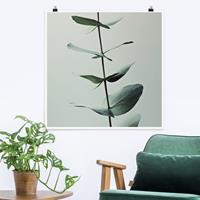 Klebefieber Poster Symmetrischer Eukalyptuszweig