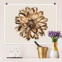 Klebefieber Poster Fotografie Dahlie Blume Gold Metallic