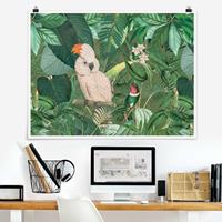 Bilderwelten Poster Vintage Collage - Kakadu und Kolibri