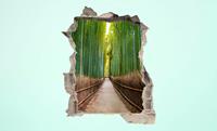 Conni Oberkircher´s Wandfolie 3 D sticker beton Bamboo Trees - Bamboelaan Rust, ontspanning, wellness