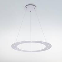 Paul Neuhaus Pure-Cosmo LED hanglamp Ã 55cm