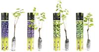 Flower-up Geënte druivenplanten - 4 stuks - Gemixte Set ( 1x Wit'Aurore', 1x Wit'Sauvignon', 1x Blauw'Muscat Hamburg', 1x Blauw'Merlot')