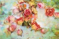 Papermoon Fotobehang Vintage rozen Vliesbehang, eersteklas digitale print