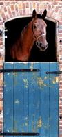 Papermoon Fotobehang Horse - deurbehang Vlies, 2 banen, 90x 200 cm (2 stuks)