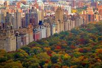 Papermoon Fototapete »Central Park«, glatt