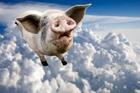 Papermoon Fototapete »Fliegende Schweine«, samtig, samtig, Vliestapete, hochwertiger Digitaldruck