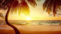 Papermoon Fototapete »Tropischer Strand Sonnenaufgang«, samtig, Vliestapete, hochwertiger Digitaldruck