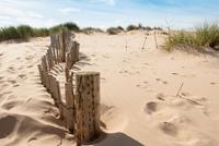 Papermoon Fotobehang Dunes Sandy beach